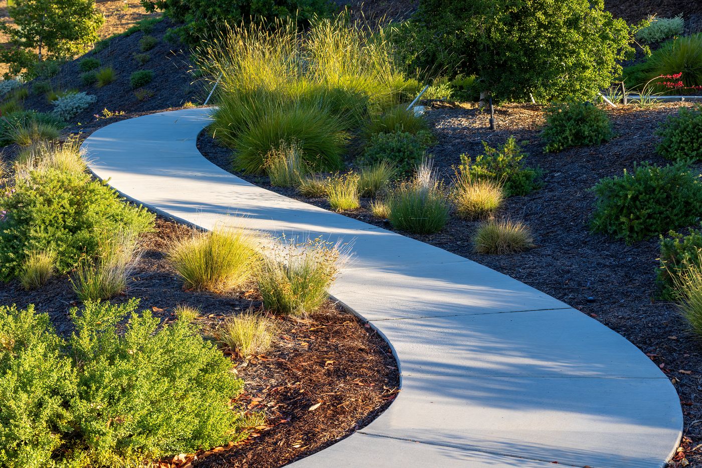 Concrete garden walkway